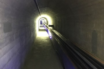 21192203 10209736633276879 501632408756240547 n
